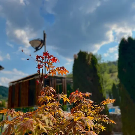 Simply The - Living Nature Διαμέρισμα